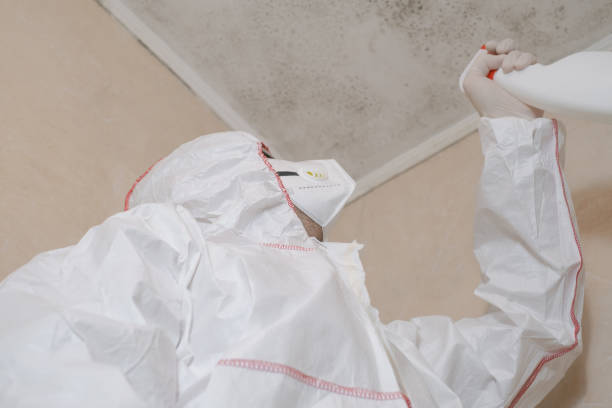 Best Mold Removal Specialists  in Belgium, WI